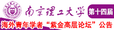 欧洲美女操逼网南京理工大学第十四届海外青年学者紫金论坛诚邀海内外英才！